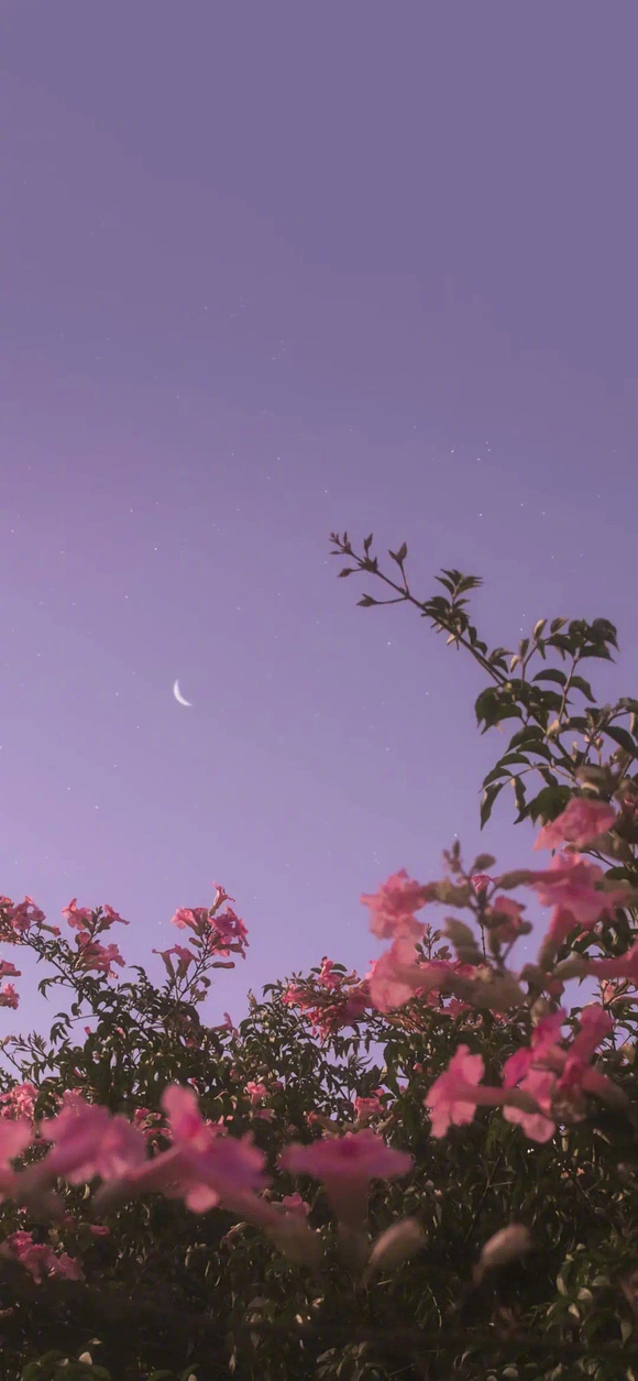 һЩֽ!-6.jpg