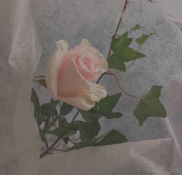 һЩֽ!-9.jpg