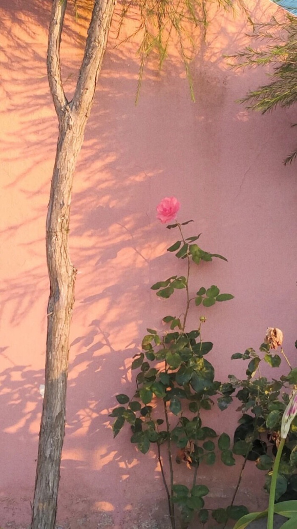 һЩֽ!-1.jpg