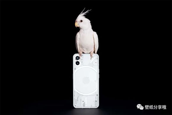 ̼ȡNothing Phone1 ԭֽ | Լ-2.jpg