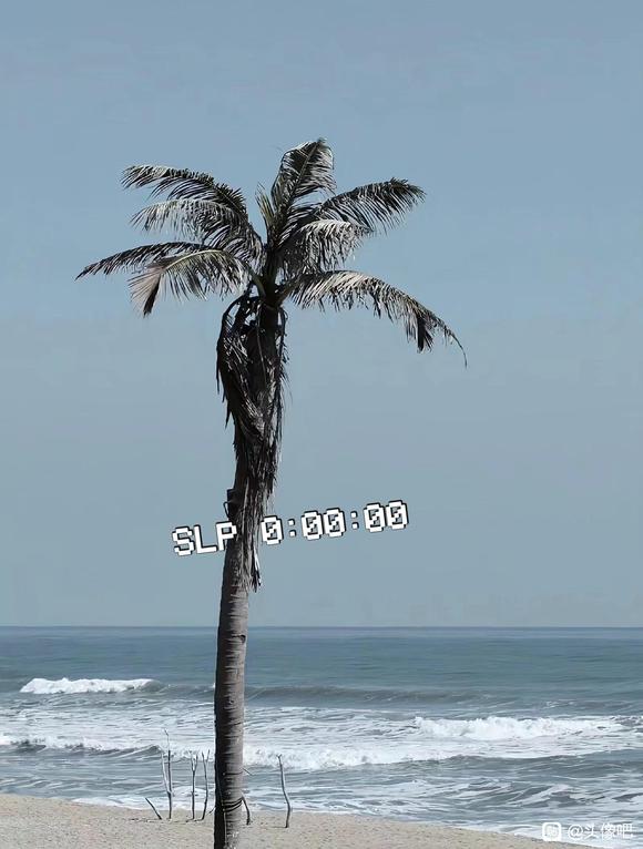 ͷ|ֽ!Ȧ|ͼ-3.jpg