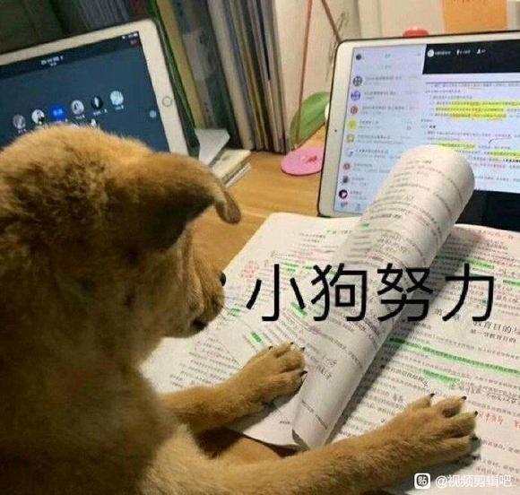 廭Ӱ-1.jpg