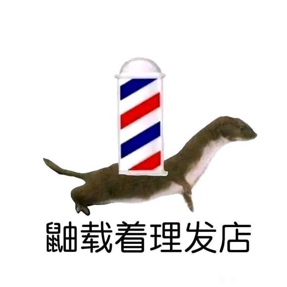 ˵,ĸλûűֽ-2.jpg