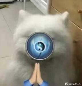 ʽûʲôÿ纺Ƽ!-3.jpg