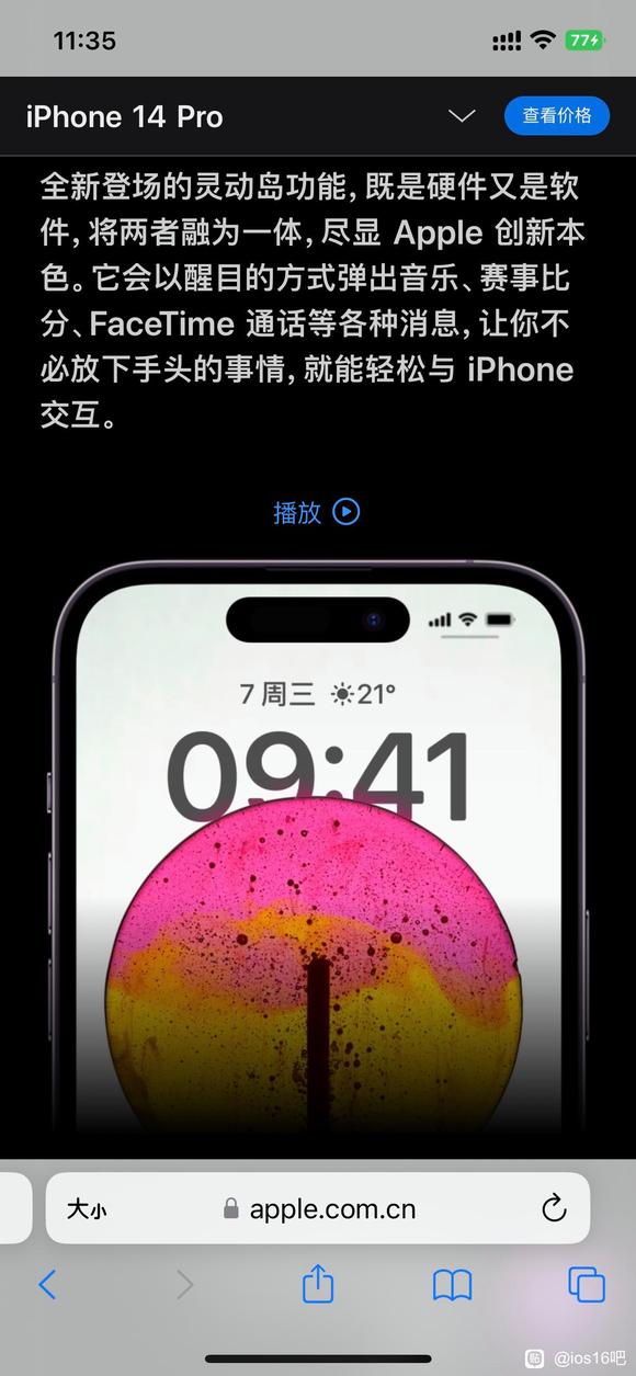 ˭ֽ-1.jpg