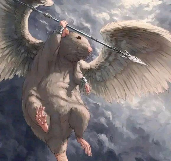 ÿıֽ-1.jpg