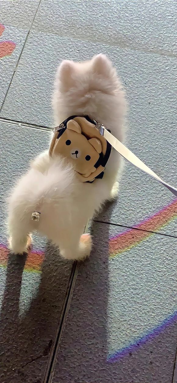 һЩֻֽ!-7.jpg