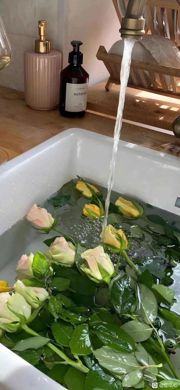 ֽӡڸ-4.jpg