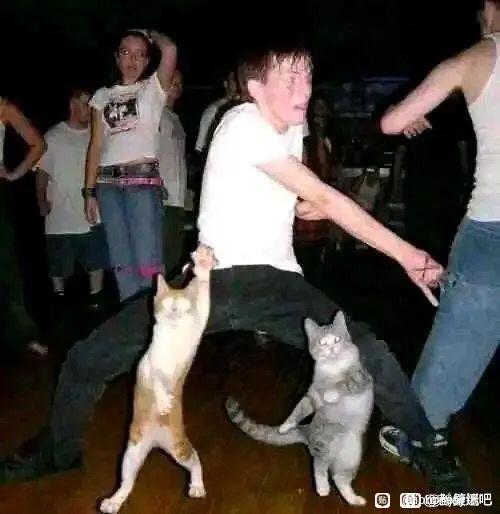 Ʒıֽ,ϣлλ-1.jpg