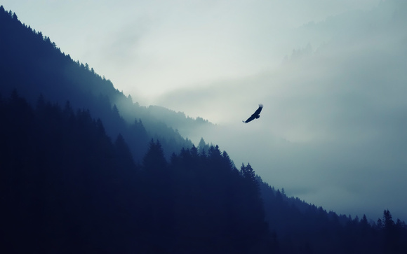 ˭иֽ-2.jpg