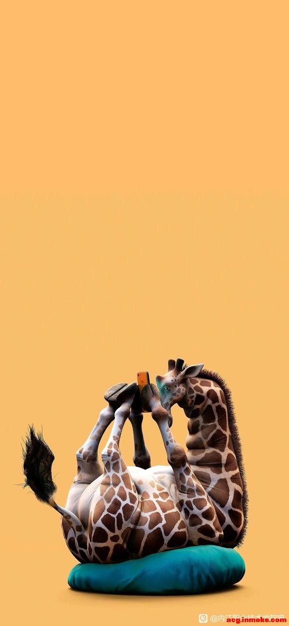 ֽÿɰ-3.jpg