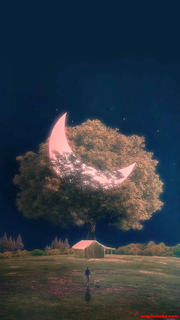 һЩԼϲķ羰ֽ//-1.jpg