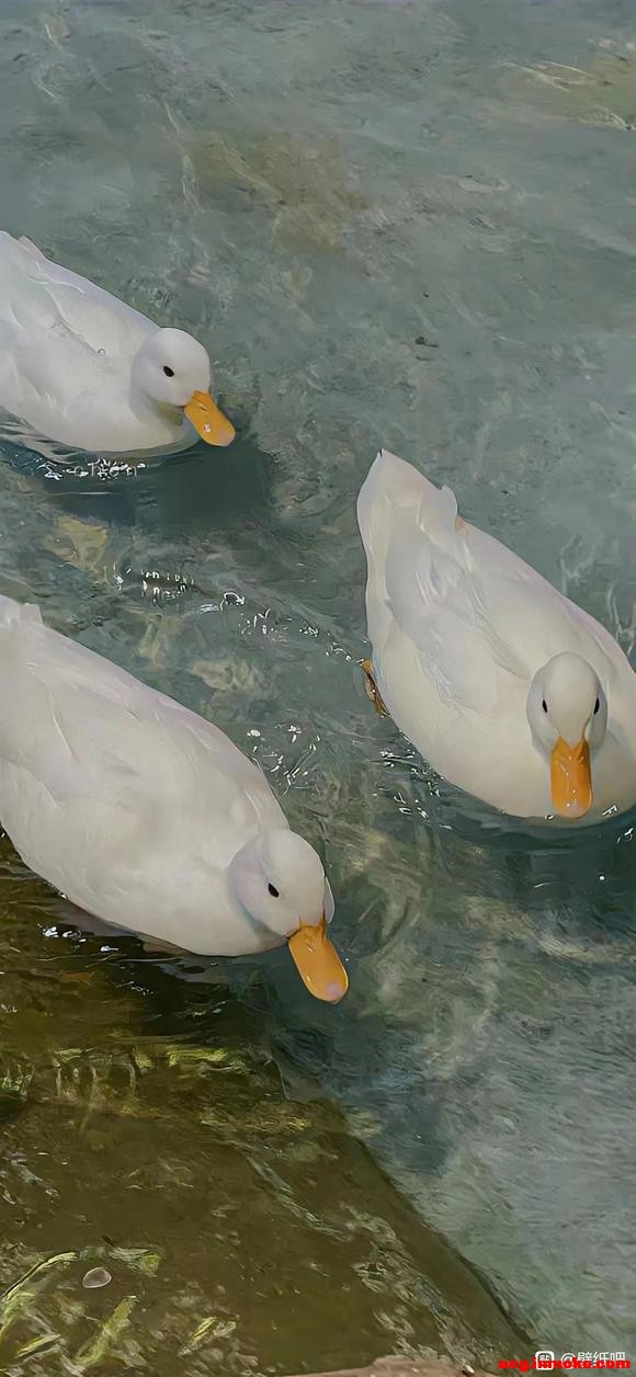 ˵ûֽ-3.jpg