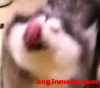 ׻ʦ׳л,Լ廭,ԤK-1.jpg