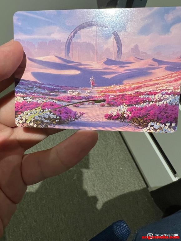 ̽廭мֵ?-1.jpg