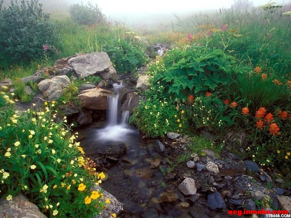 []ҵ2010ҵXPϵͳʹõıֽ-1.jpg