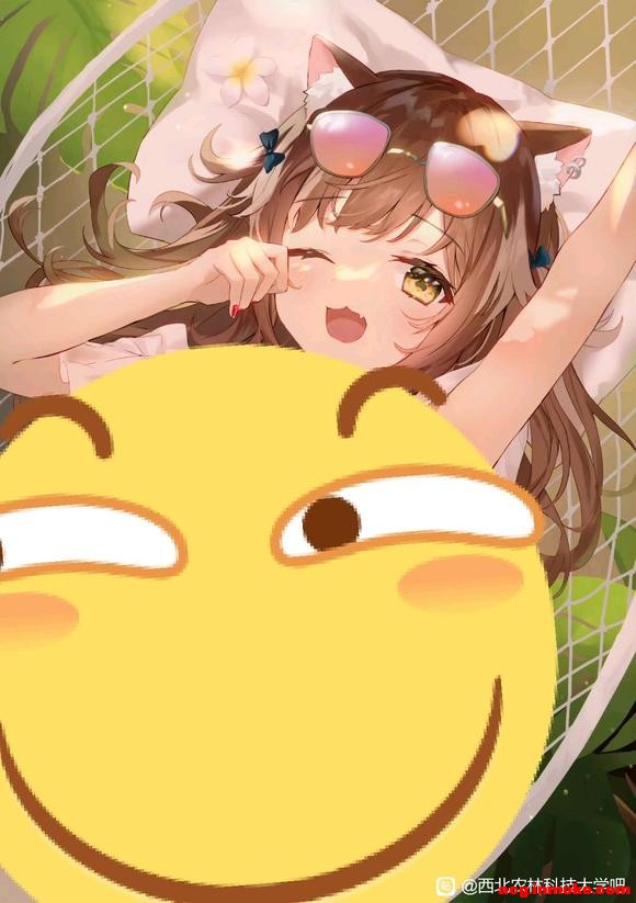 ũһֻֽ-1.jpg
