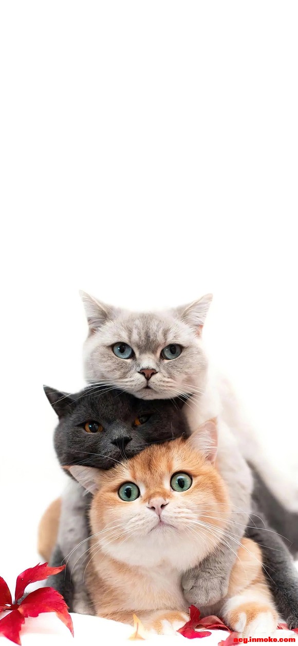 æͼƬɺɫֽ,лл-1.jpg