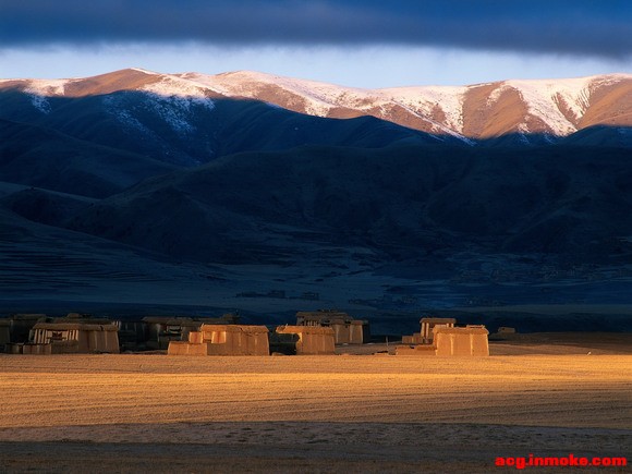 ûԶɽıֽ-1.jpg