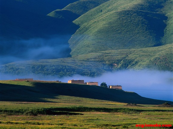 ûԶɽıֽ-1.jpg