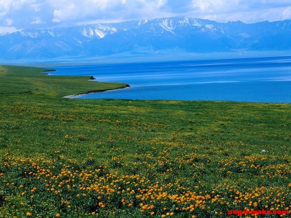 ûԶɽıֽ-1.jpg