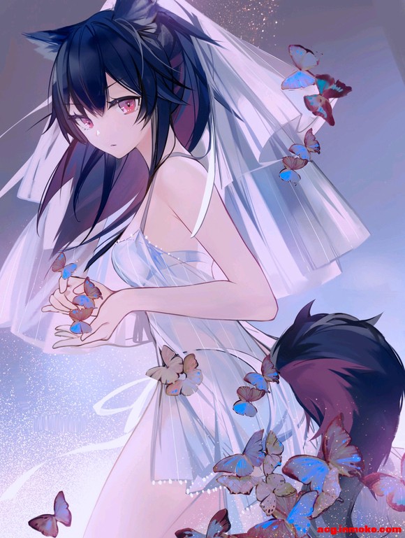 ˫Ǳֽ-4.jpg