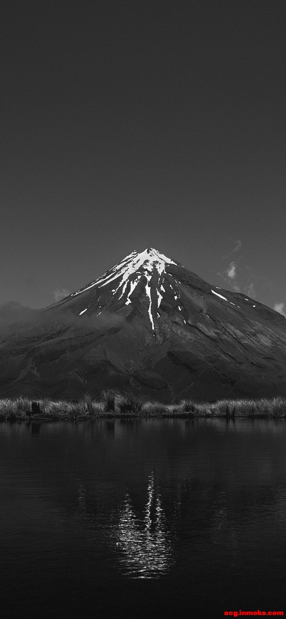 ÿձֽ-1.jpg