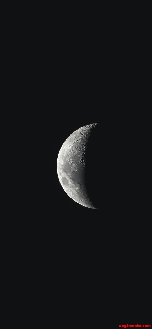 ÿձֽ-2.jpg
