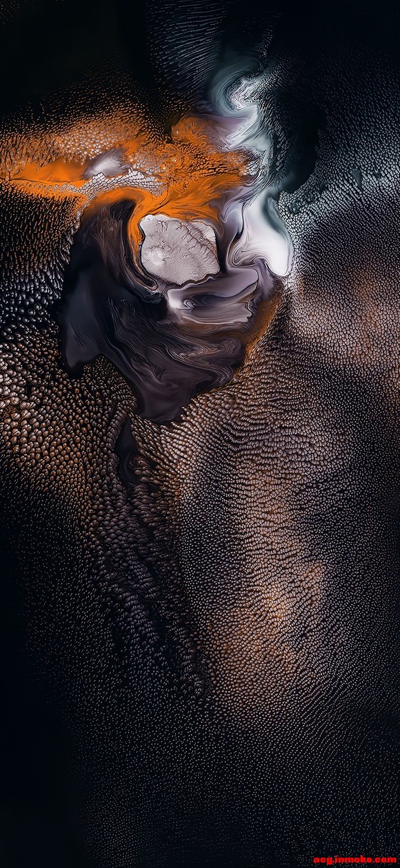 ÿձֽ-5.jpg