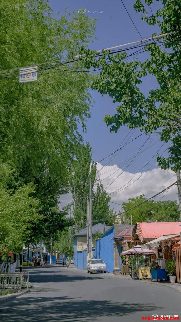 ֽ&amp;amp;#xF337;-8.jpg