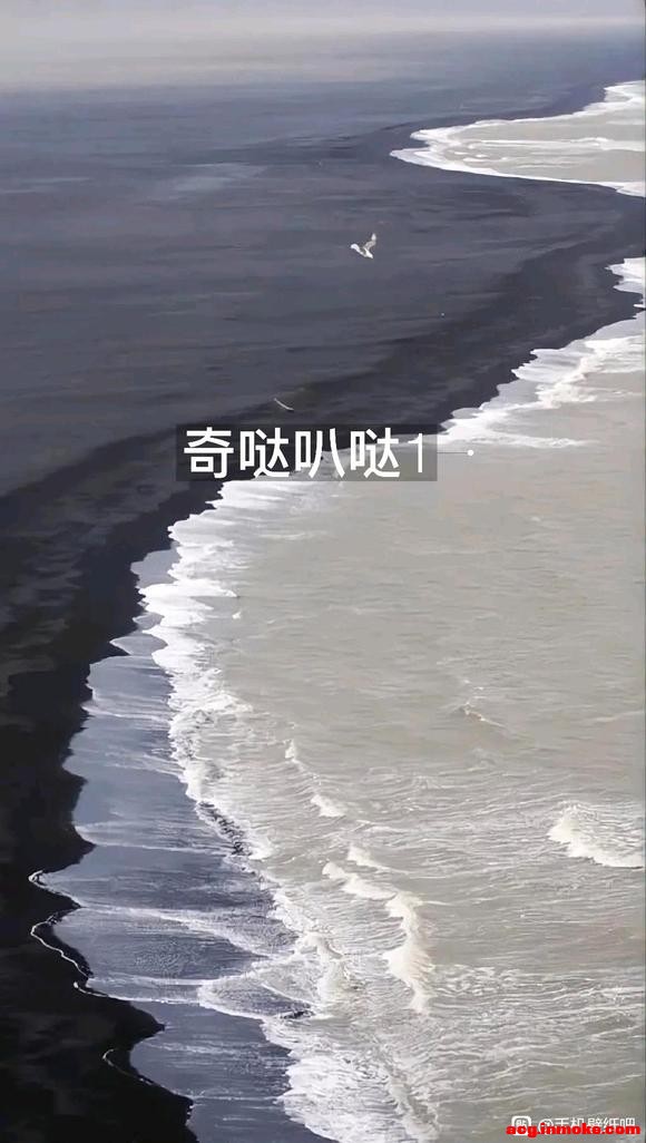 챳/ʱֽ-6.jpg