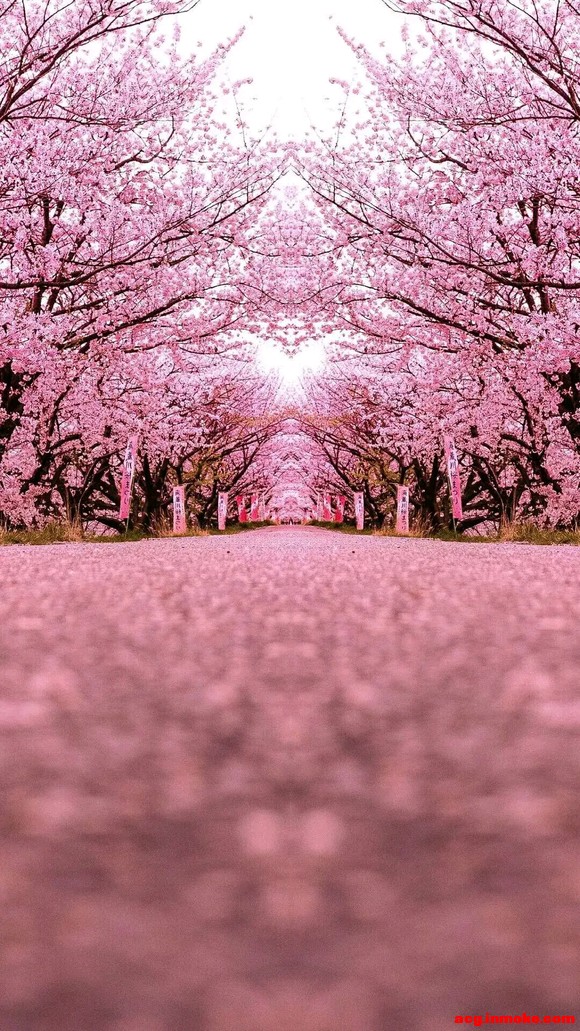 ʺֻֽͼƬ-3.jpg