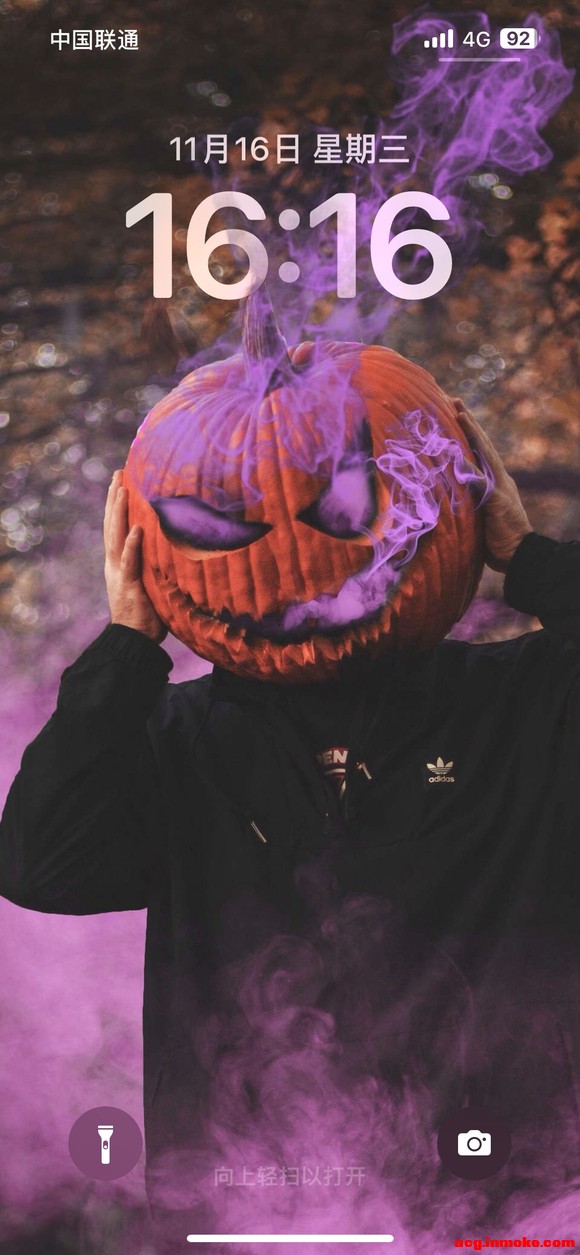 ɹ±ֽ-1.jpg