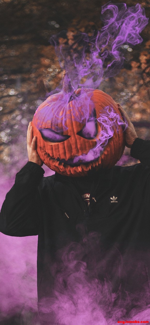 ɹ±ֽ-1.jpg