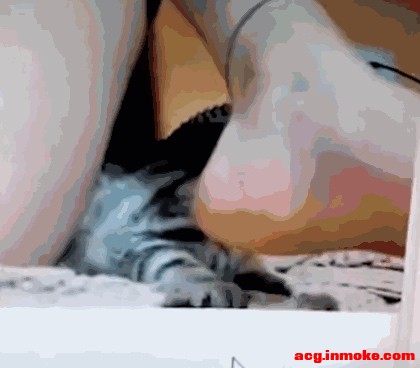 λϸͼ Ҹʺֻֽ,ͼֽ̫-1.jpg