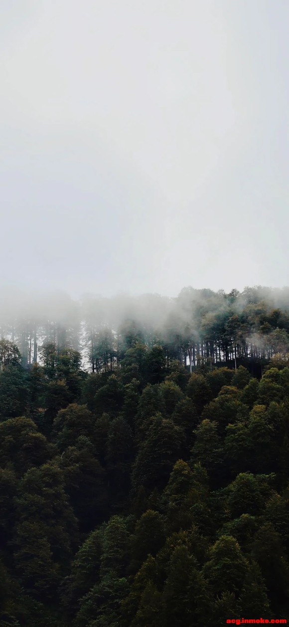 Ʒ羰ֽ-2.jpg