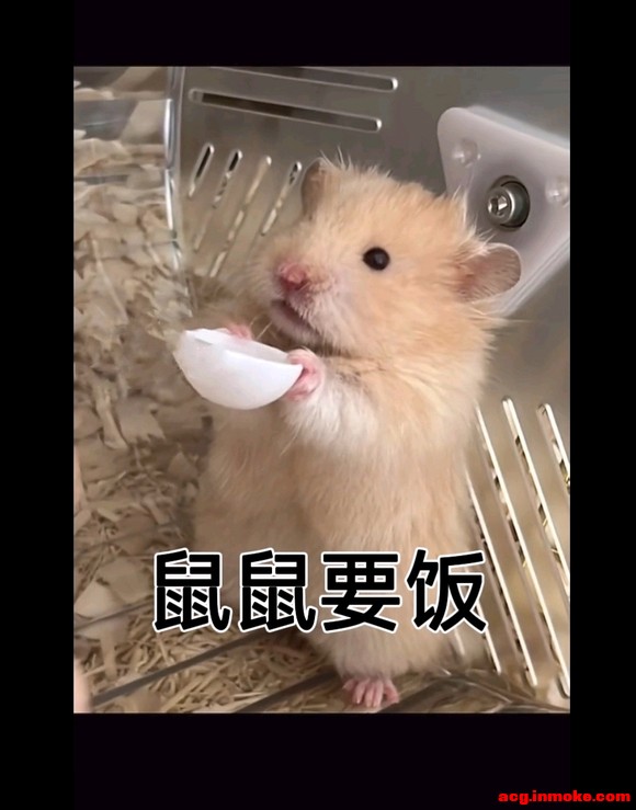˭ֽ???-1.jpg