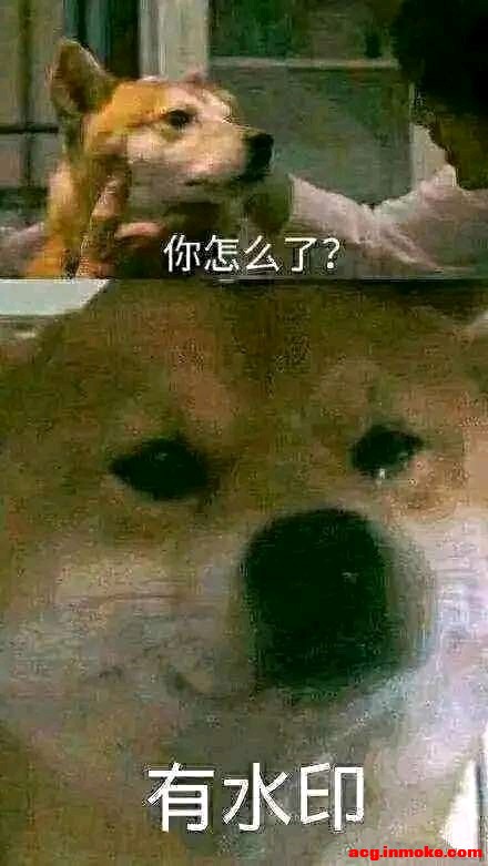 ˧ûкÿɱֻֽ?-1.jpg