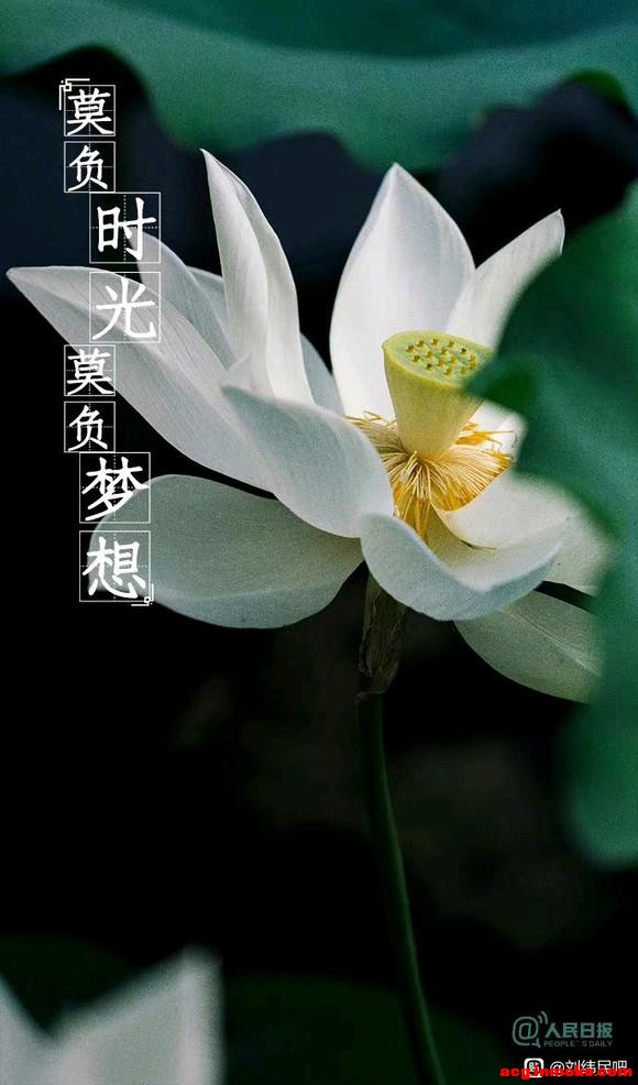 2023621,һֽ,ԸԼ!-1.jpg