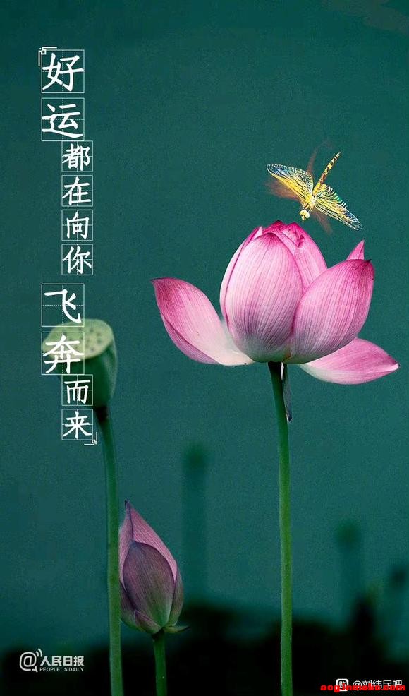 2023621,һֽ,ԸԼ!-1.jpg