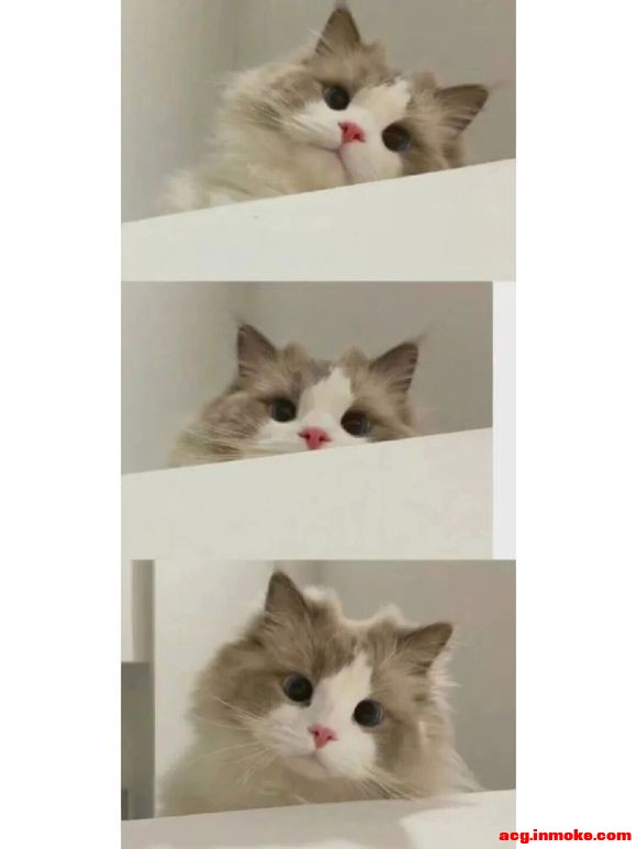 ɰֽ #ͷ#-3.jpg