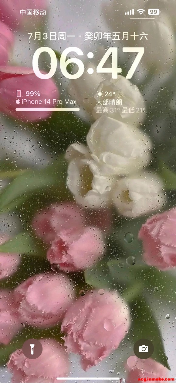 ֽ,̫ÿ-1.jpg