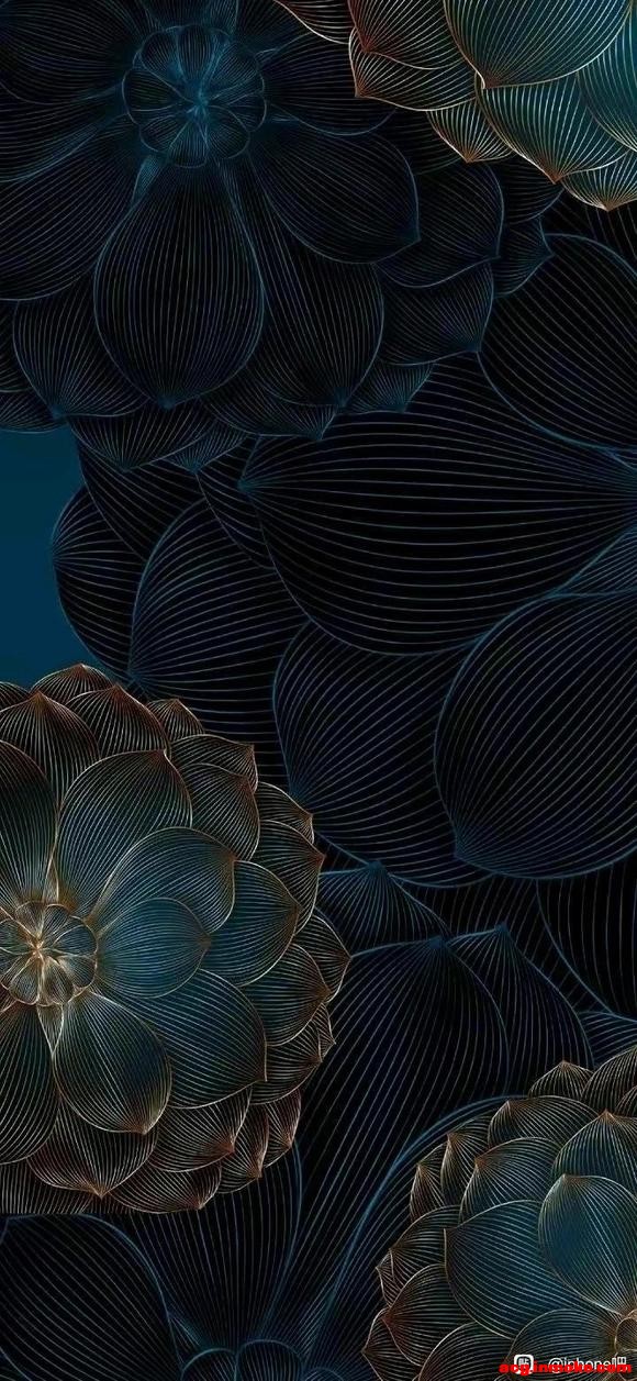 ֽ,̫ÿ-2.jpg