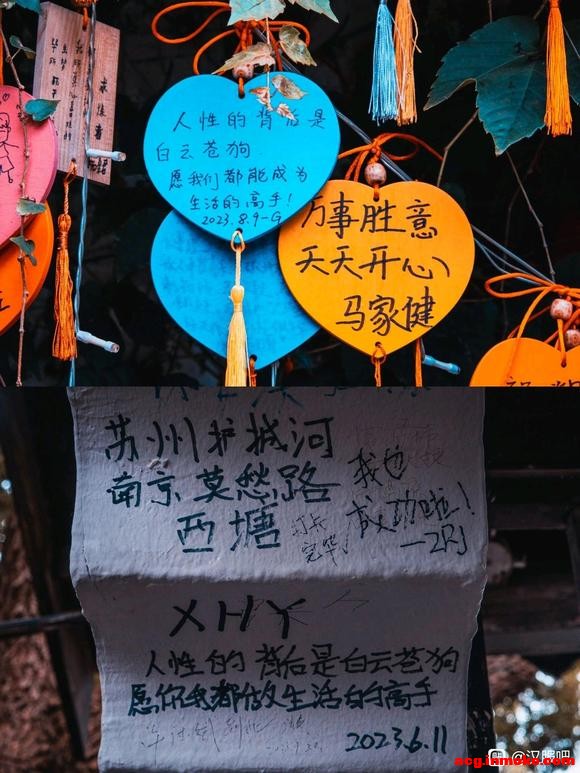 ʮһĻʱ䰲-5.jpg