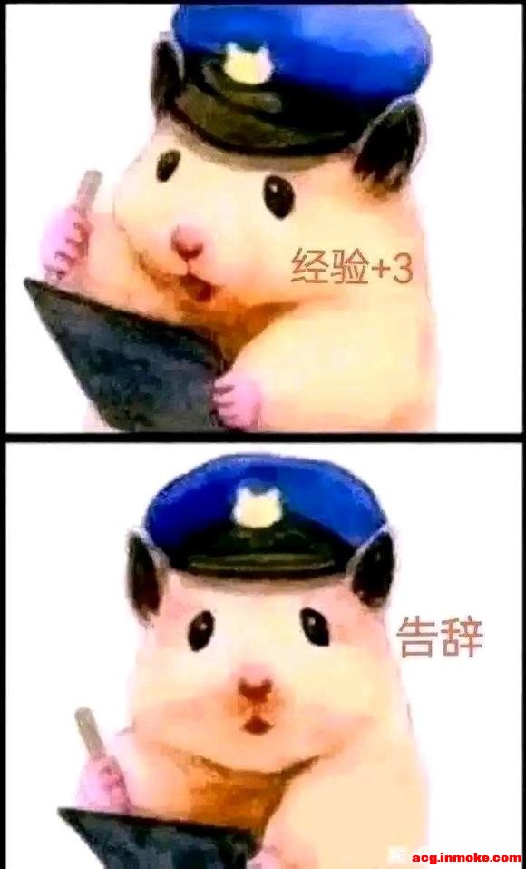 Ʊֽ Sea Dragon Donut Xiaoman-1.jpg
