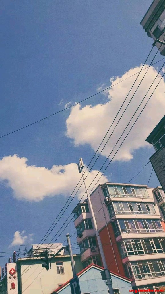 һЩֽ-1.jpg