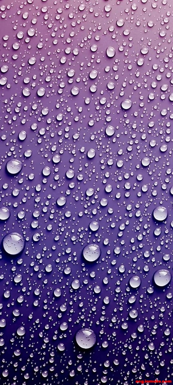 4K:ʸˮαֽ-4.jpg