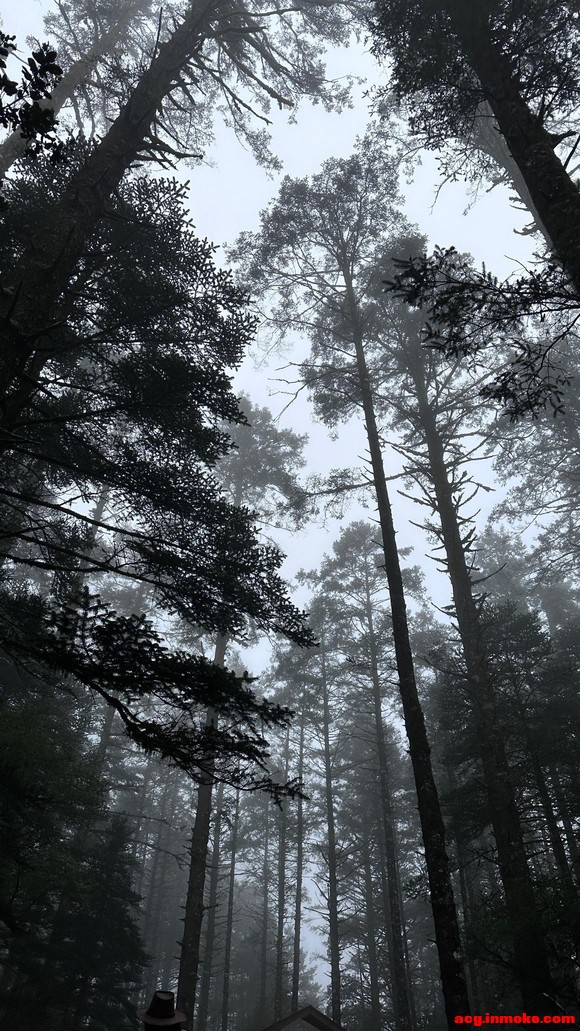 4K:ʸˮαֽ-5.jpg