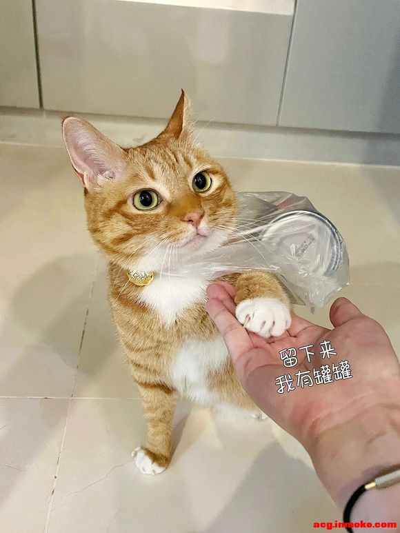 ˭ûСèֽ-1.jpg