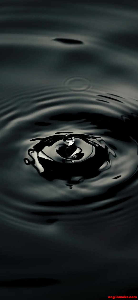 ѡ:ۺͼֽ(ڶ)-1.jpg